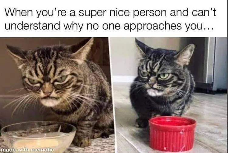 approachability meme