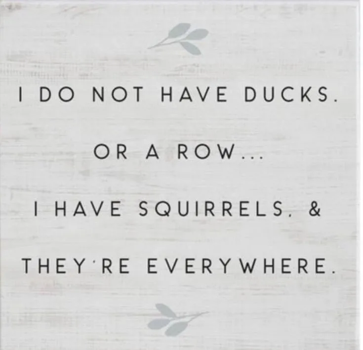 disorderliness meme