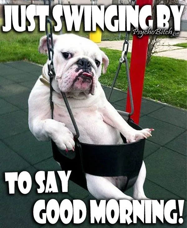 good morning meme