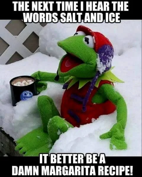 Driving in the snow meme