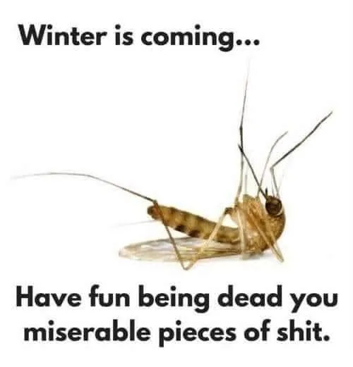 mosquito meme