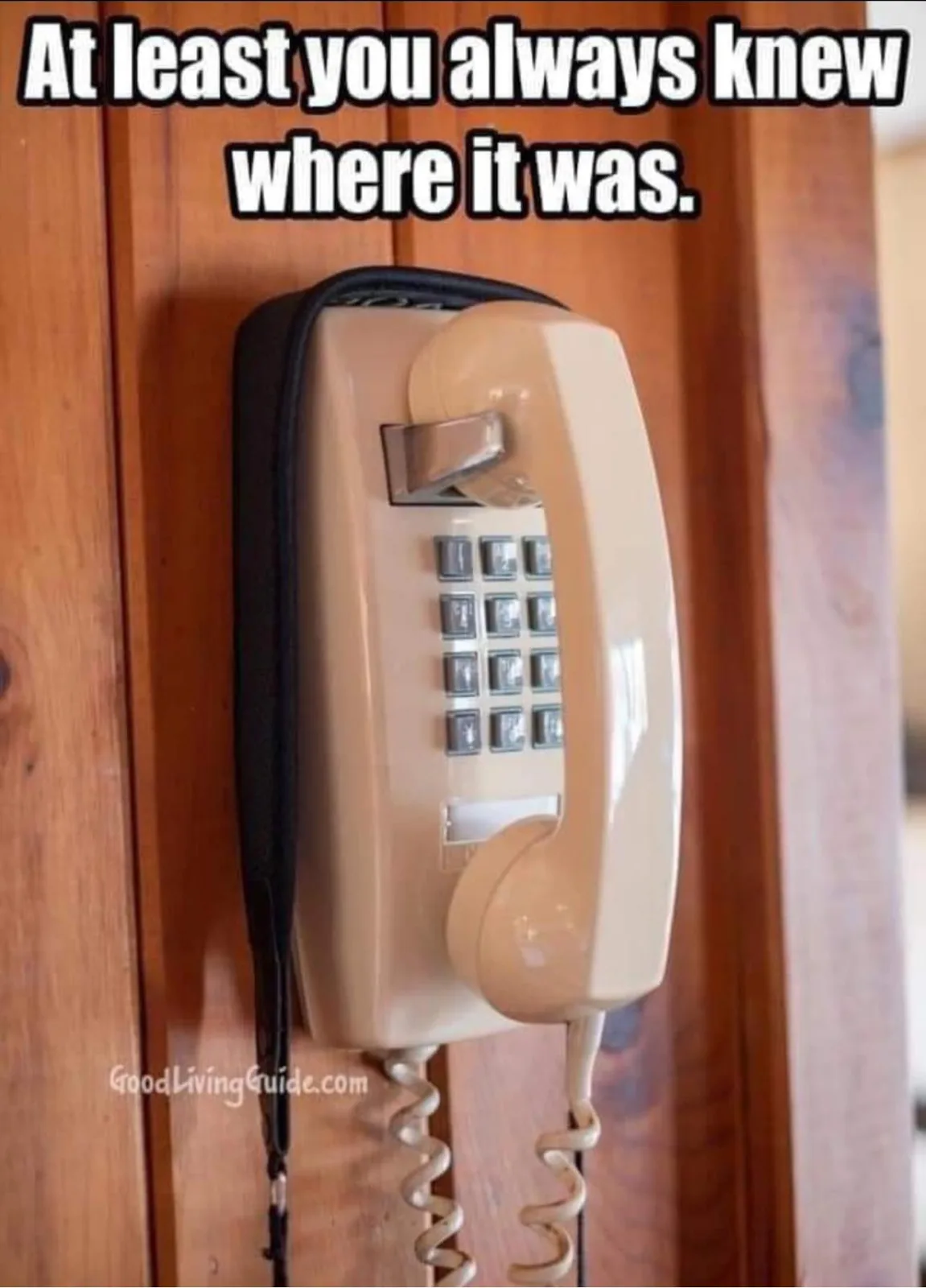 Back In My Day meme