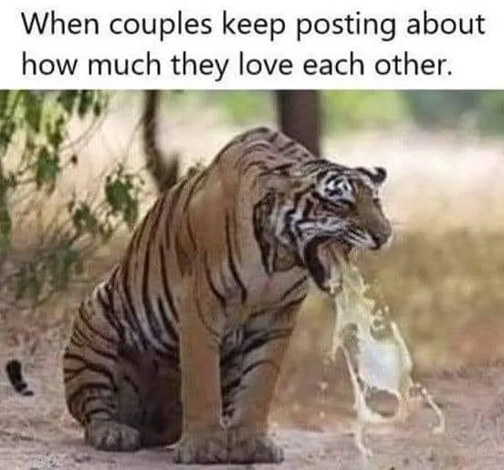 PDA - Public Display of Affection meme