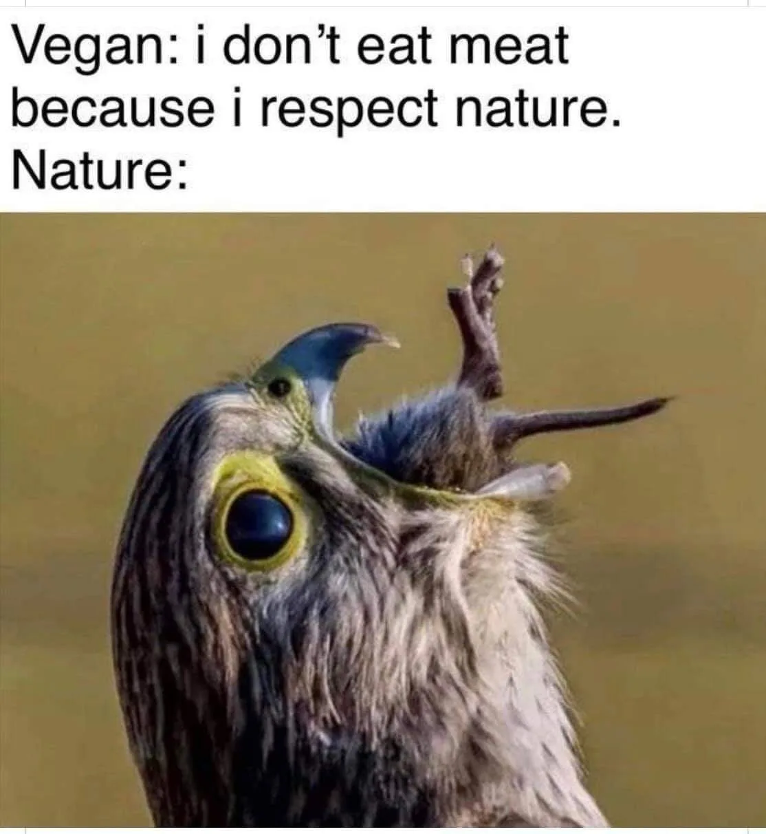 nature meme