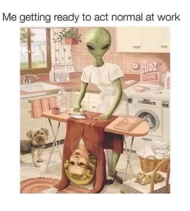 normality meme