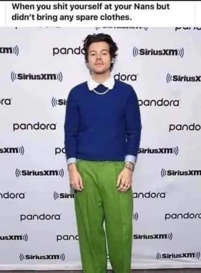 Harry Styles meme