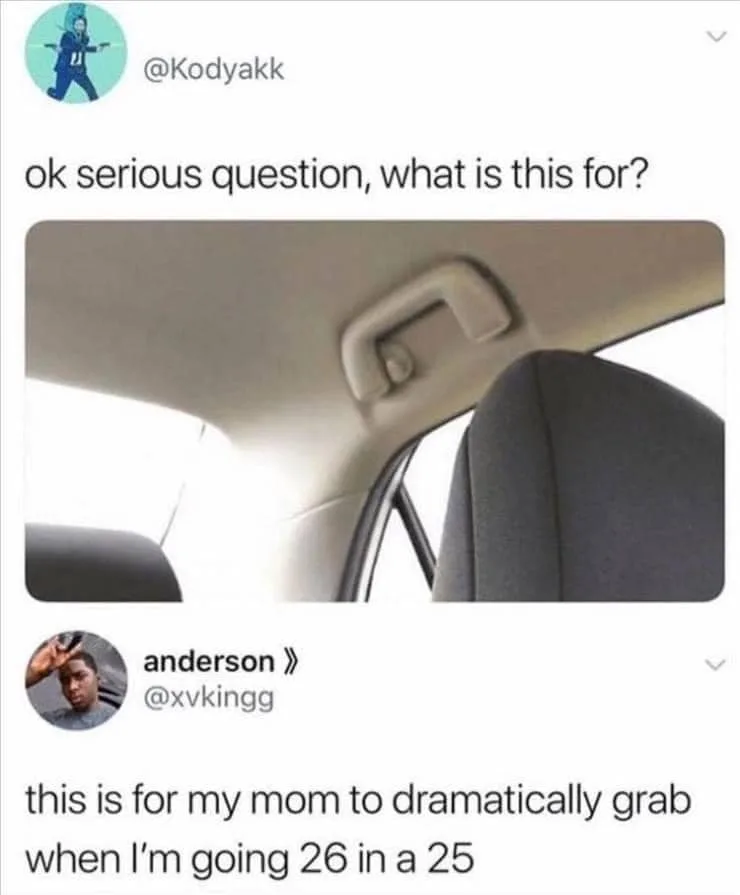speeding meme