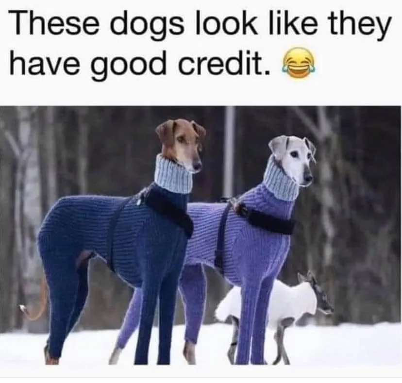 credit score meme