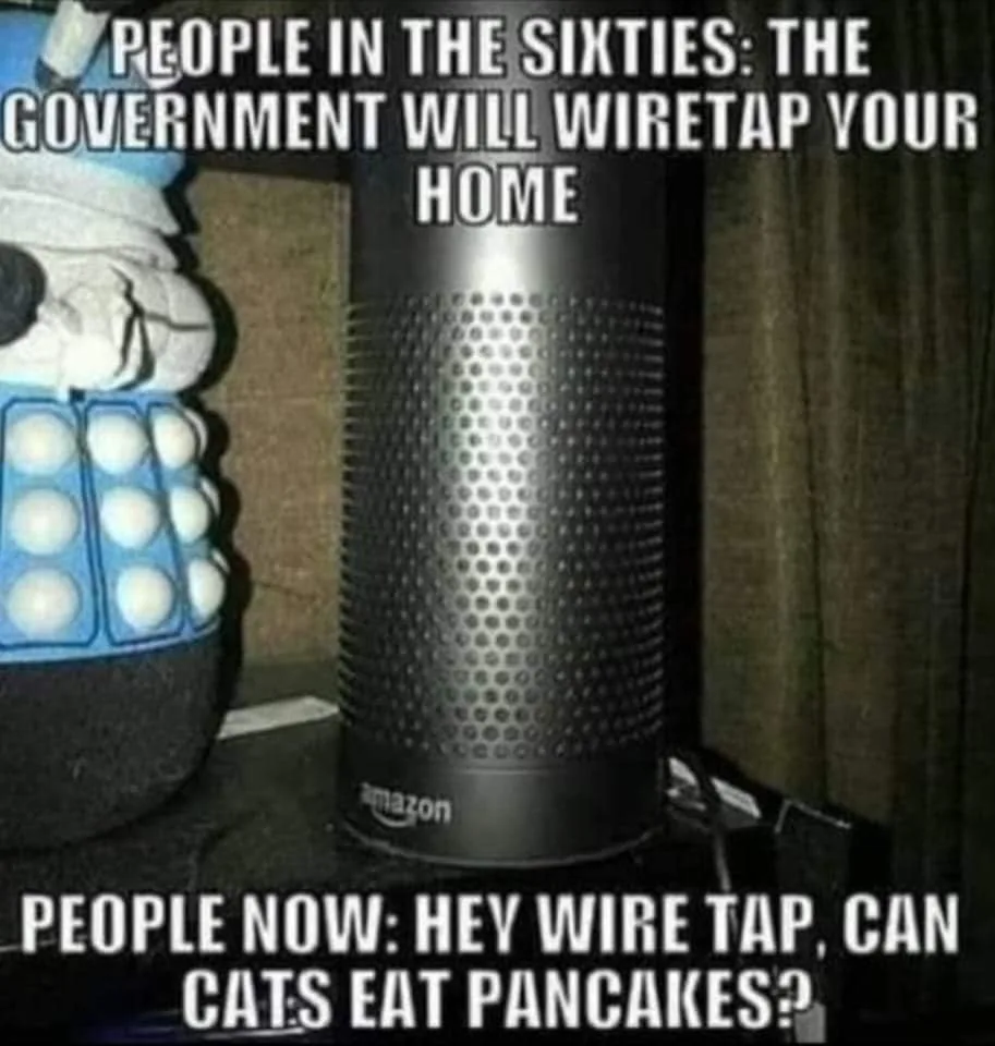 Big Brother meme