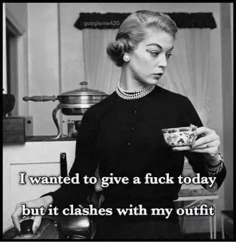 fashion meme
