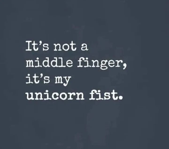 middle finger meme