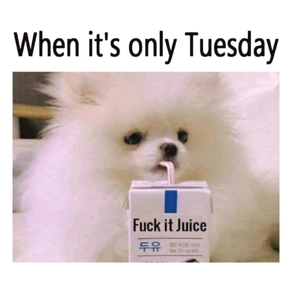 Tuesday meme