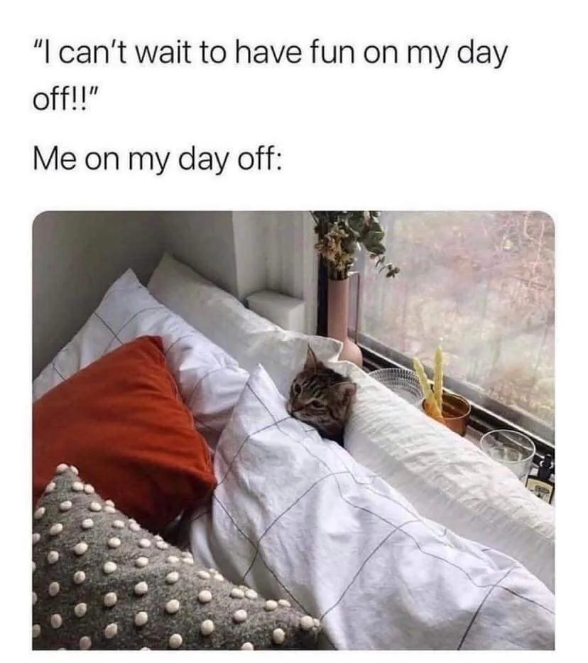 day off meme
