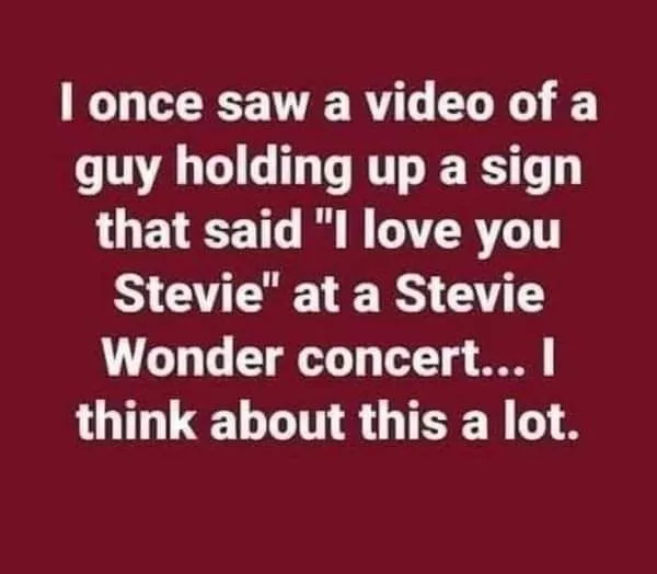 Stevie Wonder meme