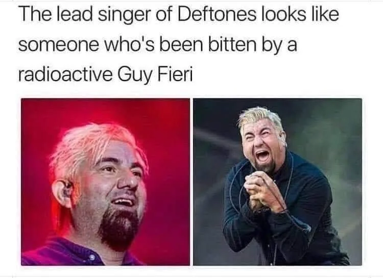 Guy Fieri meme