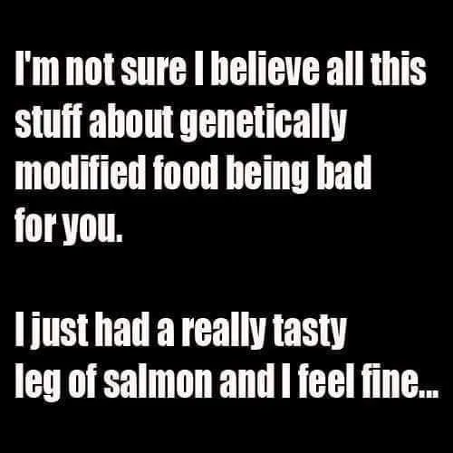 GMO | genetically modified organism meme