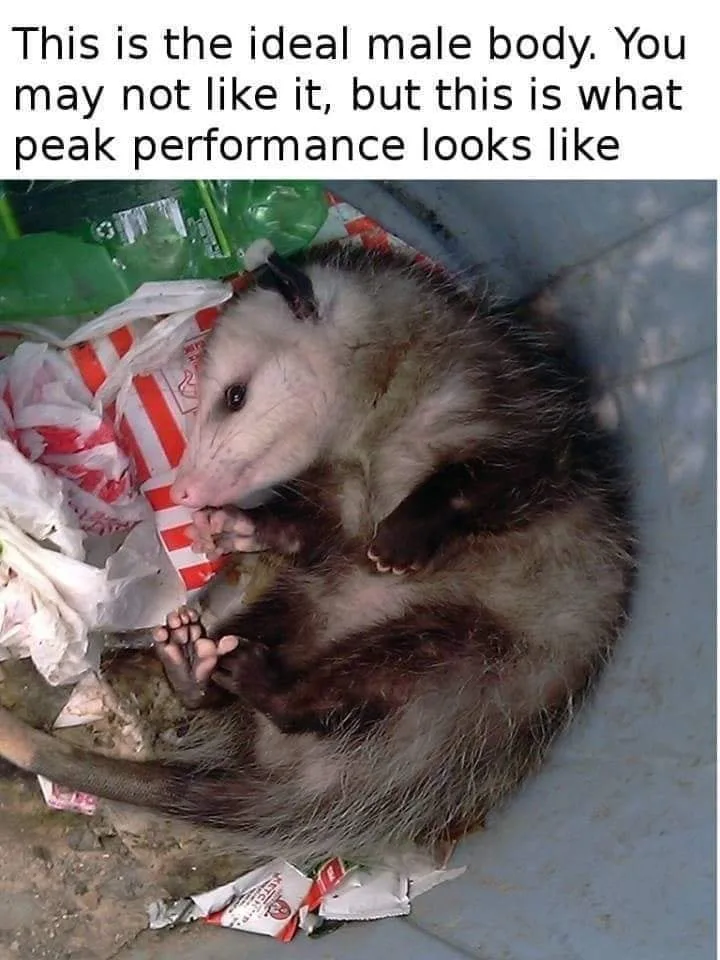body meme