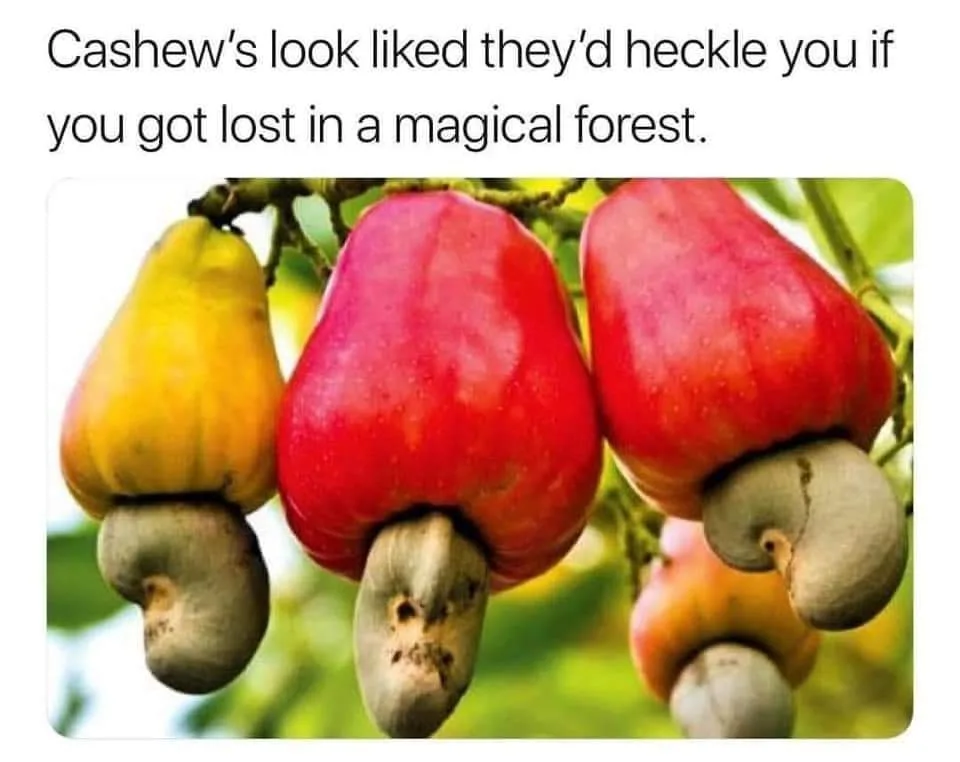 cashew meme