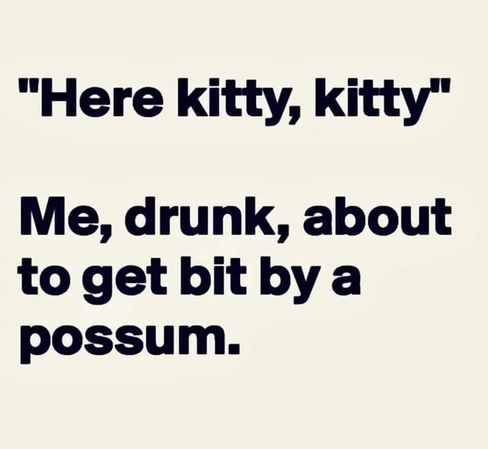 opposum meme