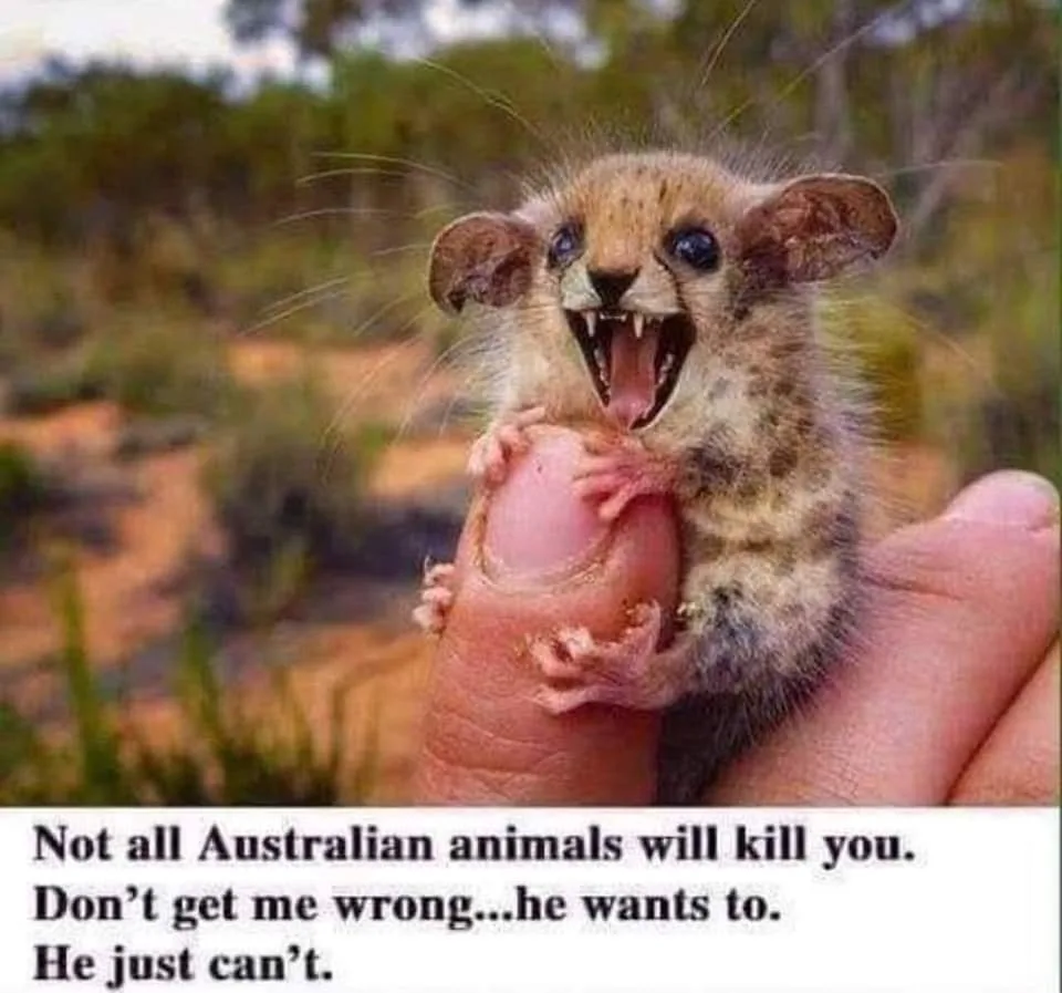 Australia meme