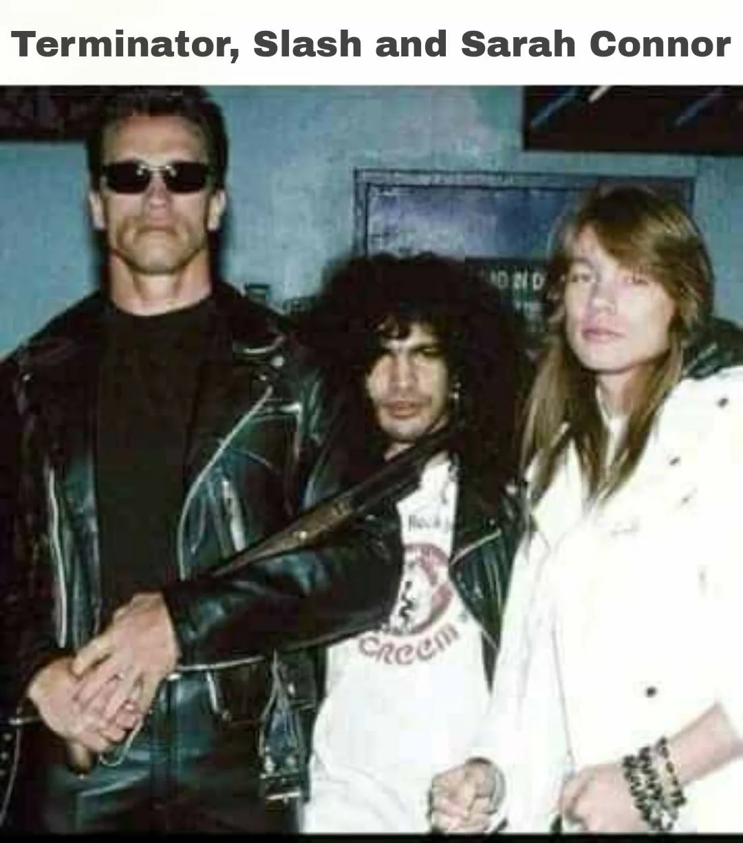 Terminator meme