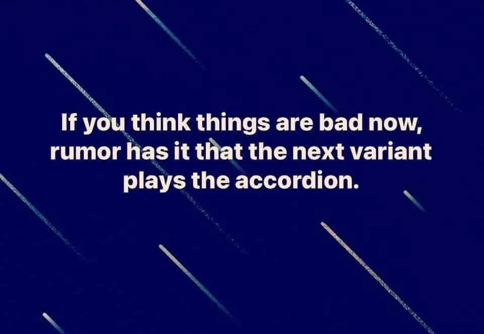 accordion meme