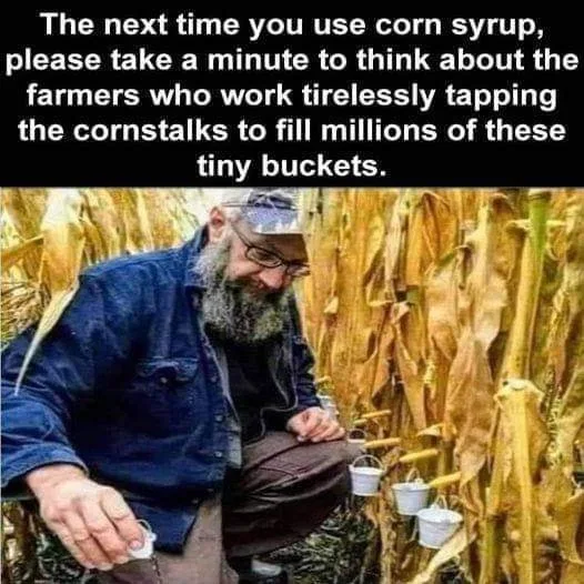 syrup meme