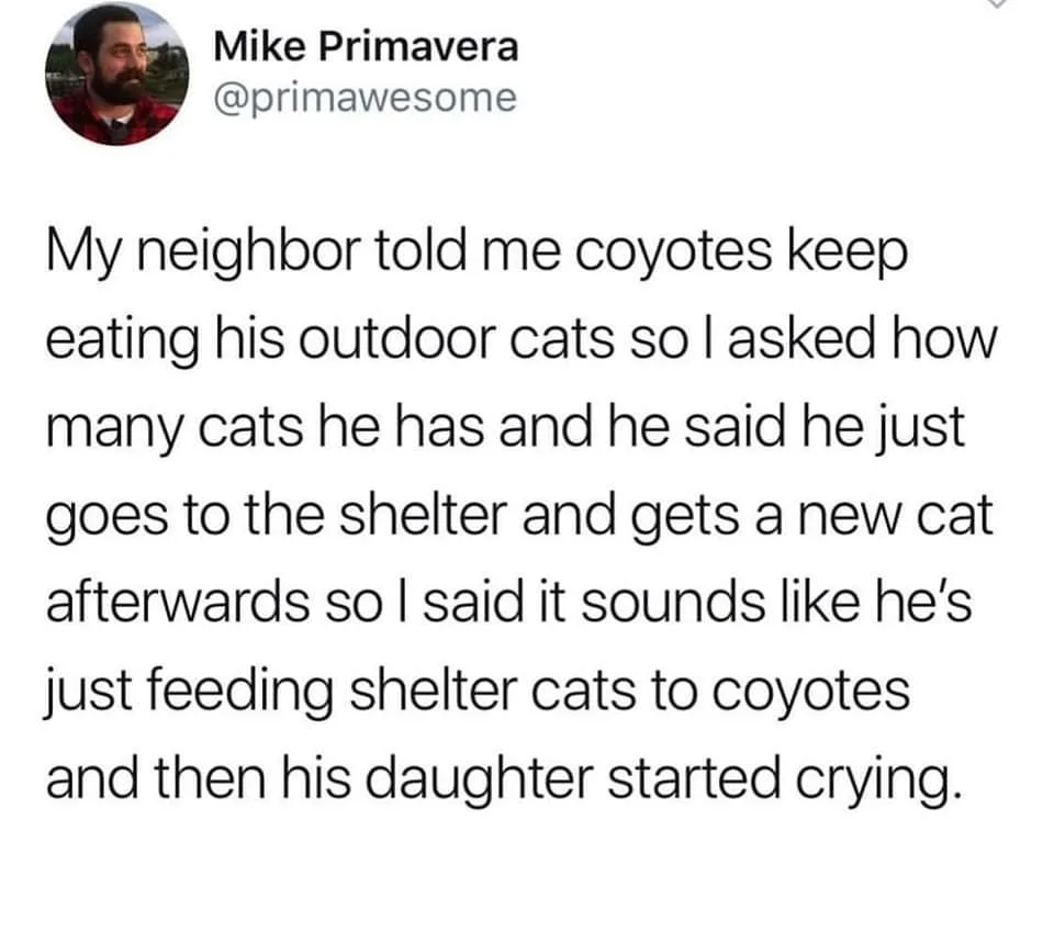 coyote meme