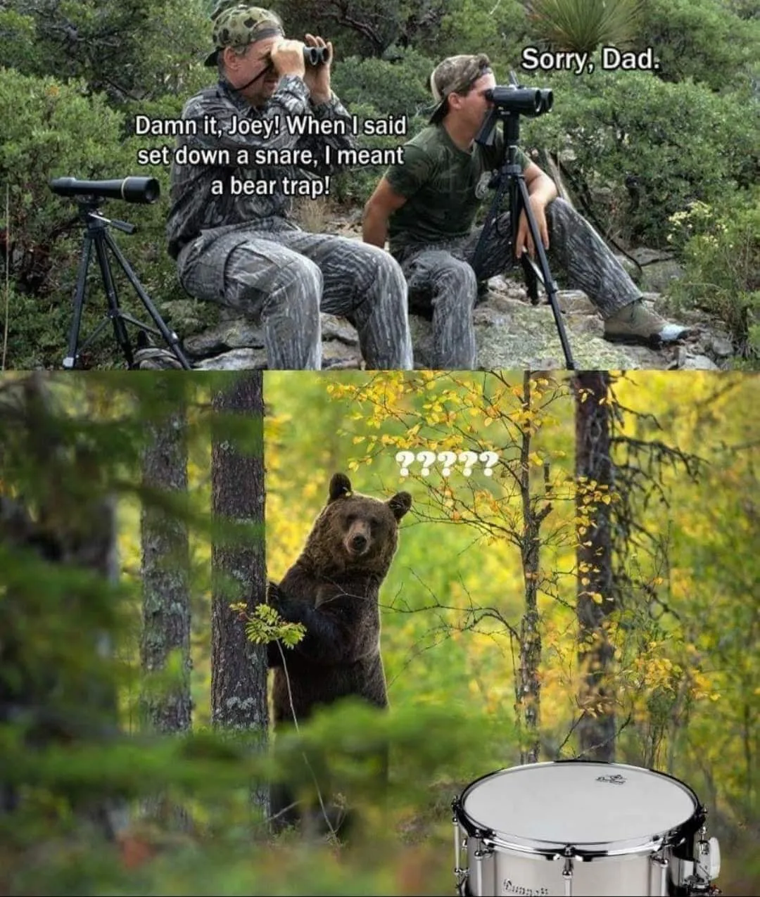 bear meme