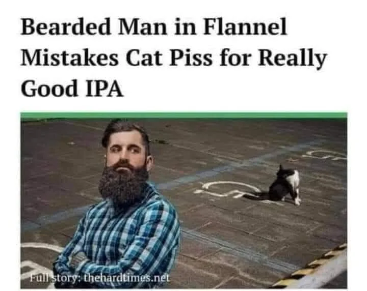 craft beer meme