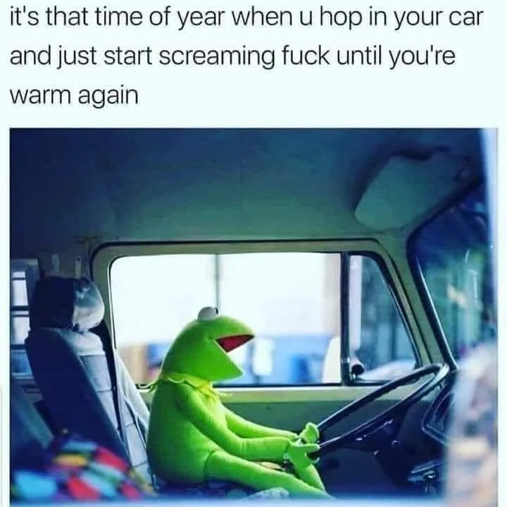 coldness meme
