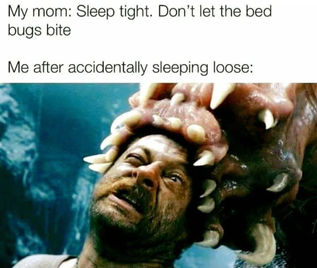 bedbug meme