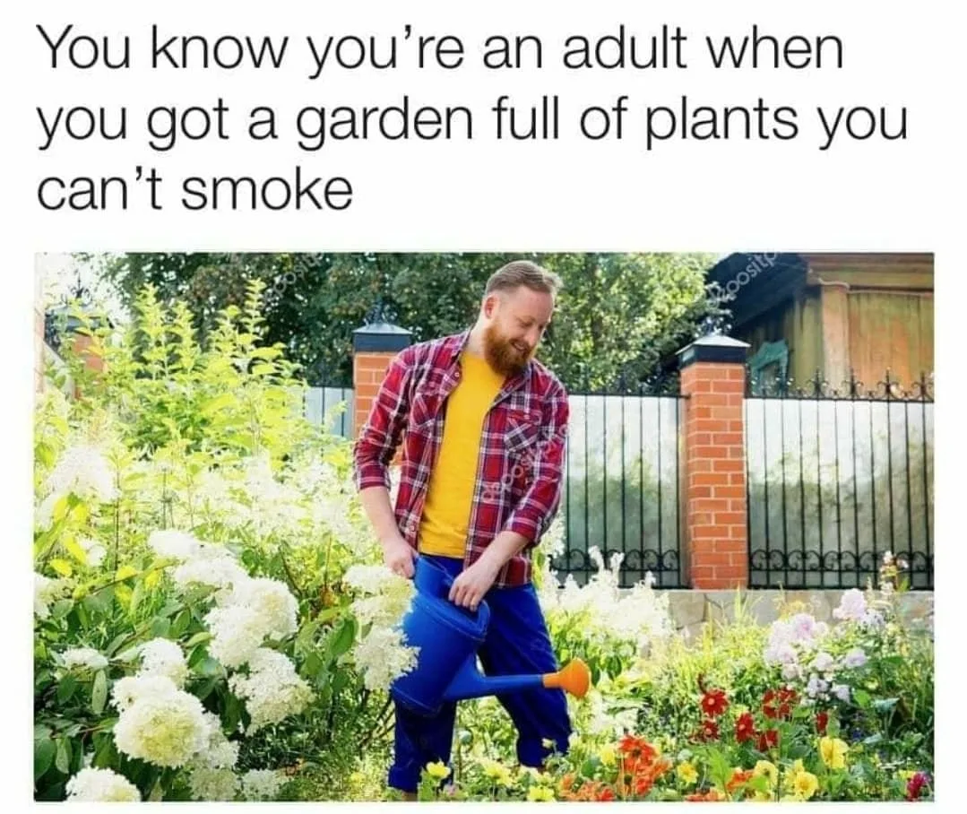garden meme