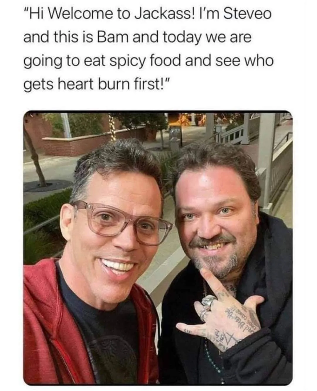 Jackass meme
