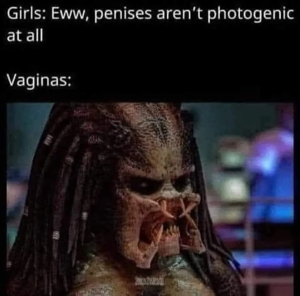 vagina meme