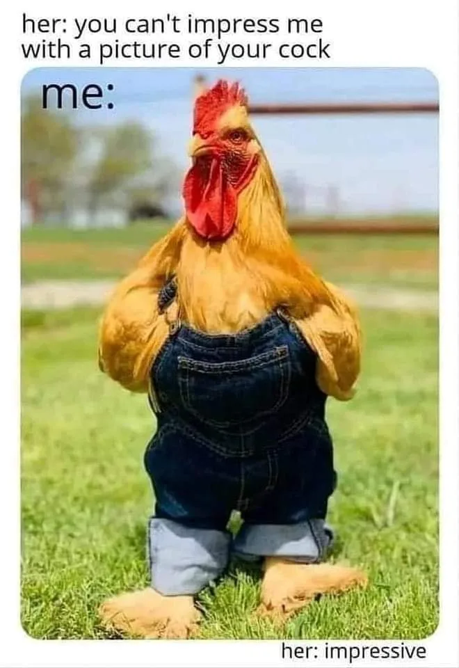 sexting meme