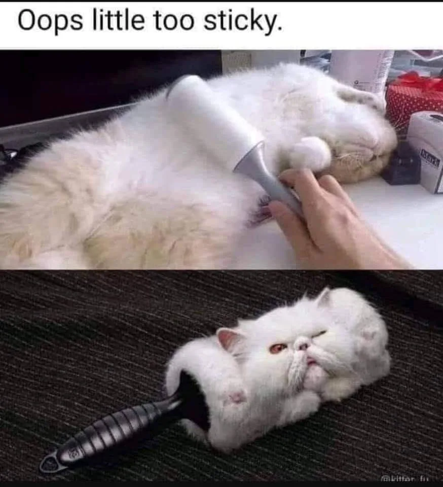 hair meme