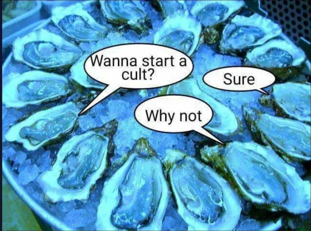 cult meme