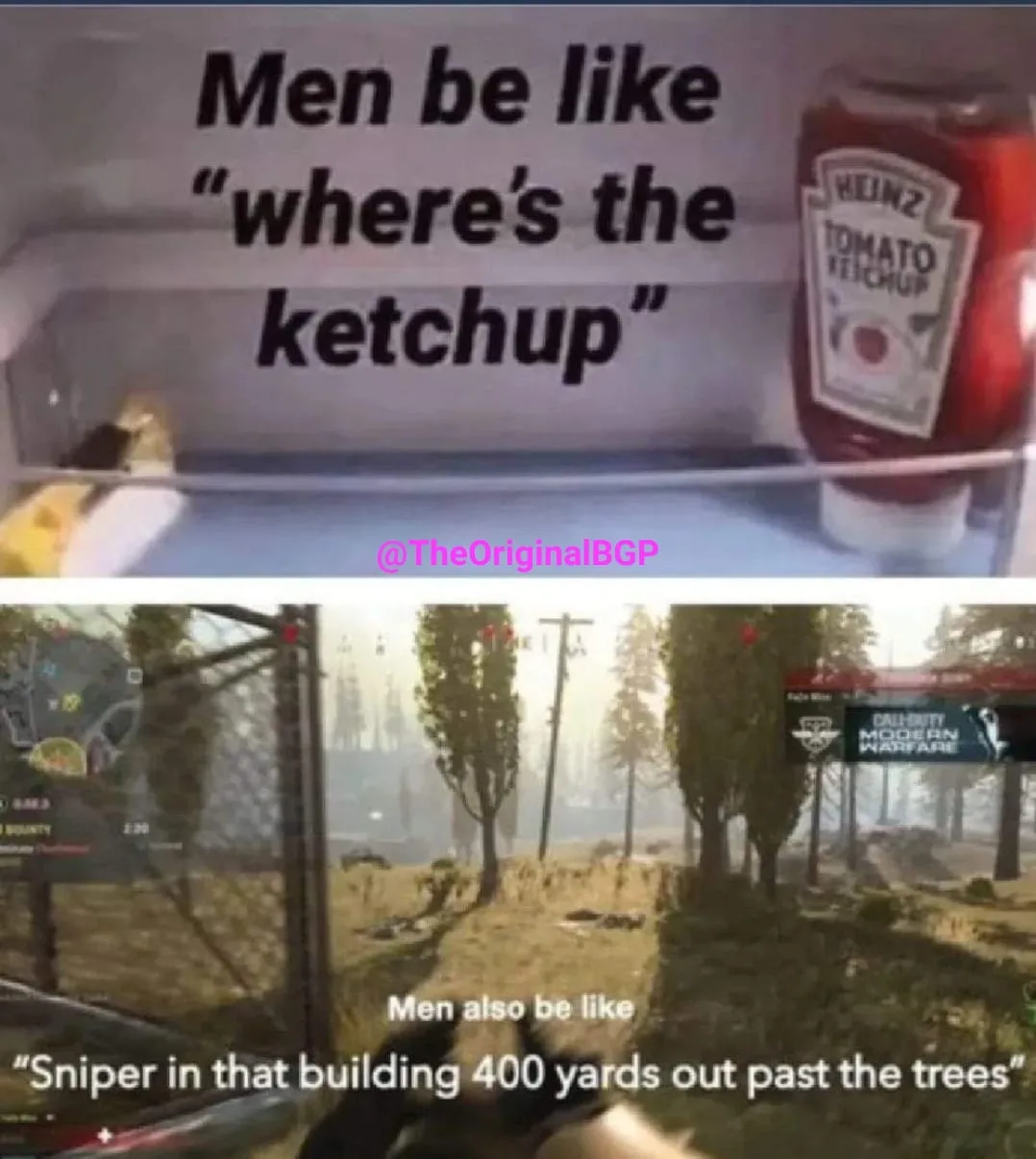 perception meme