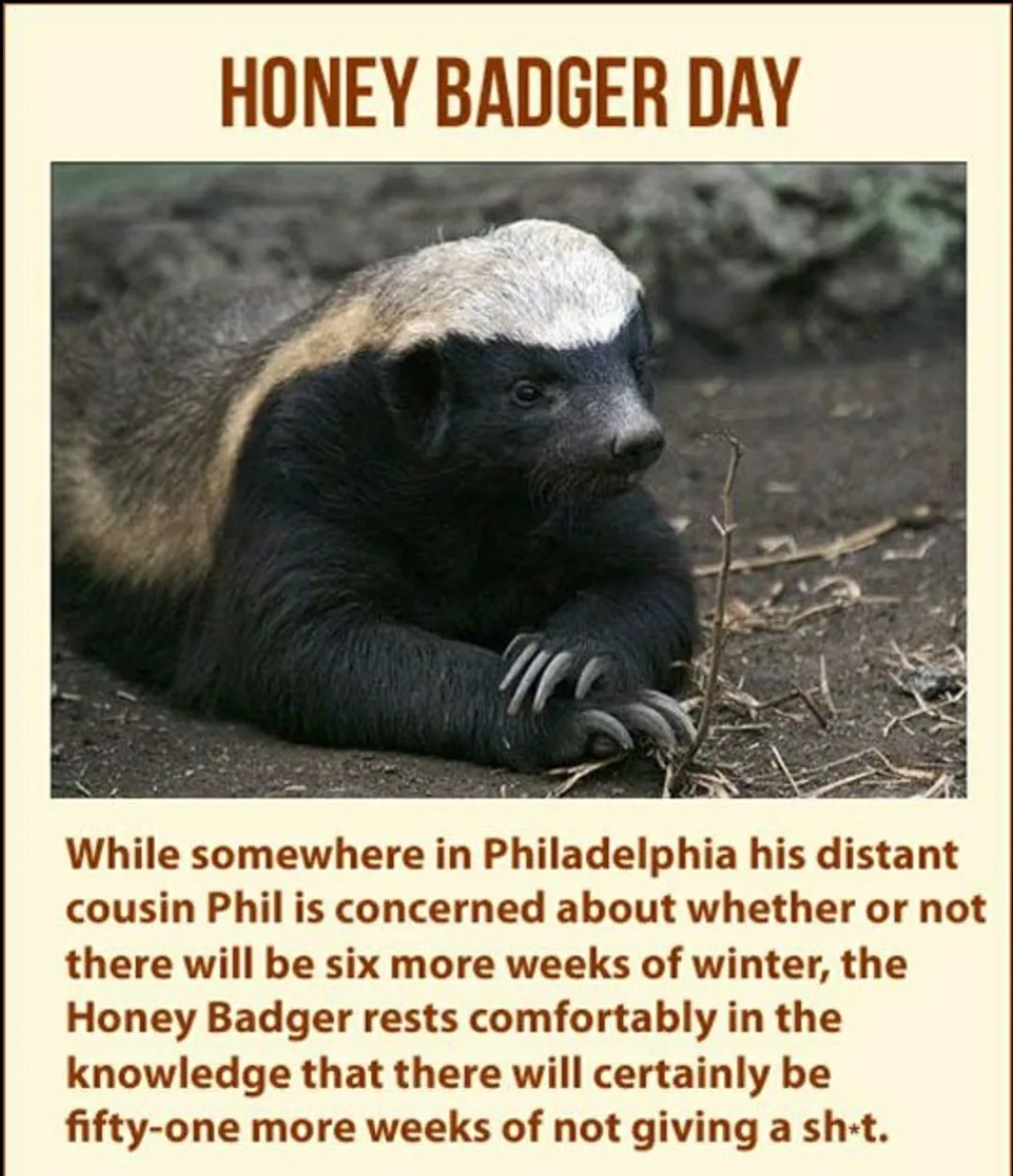 honey badger meme