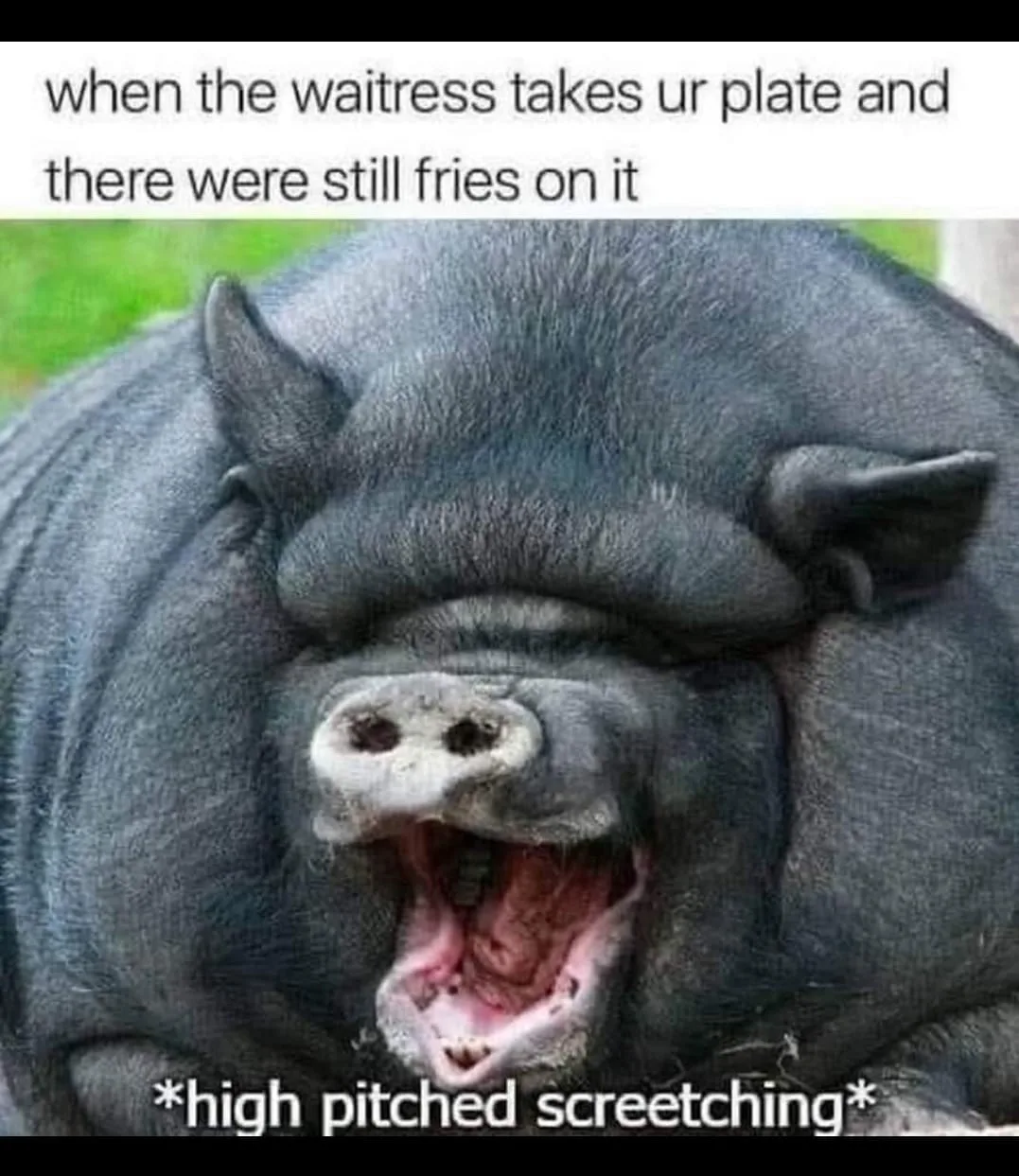 restaurant meme