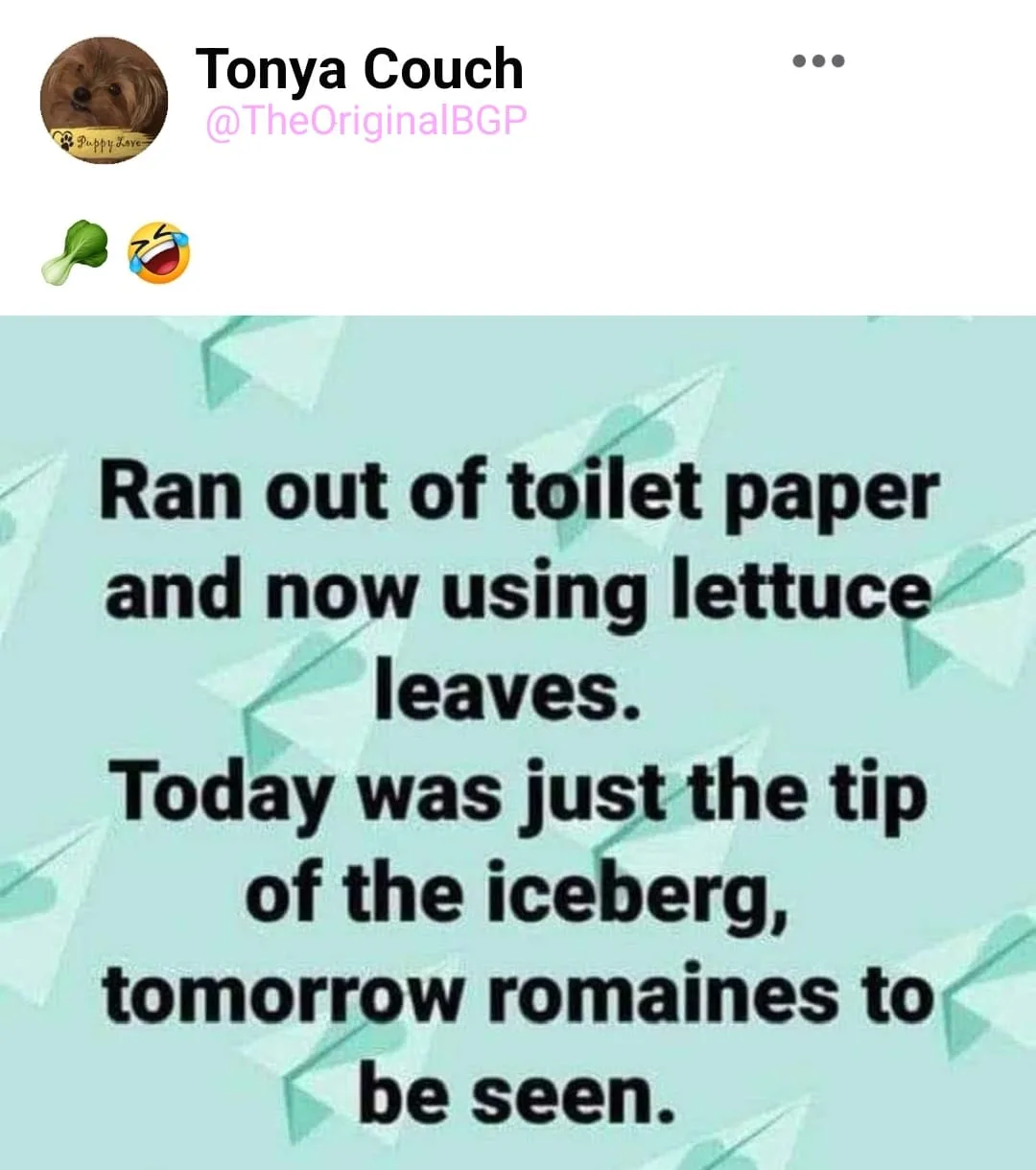 lettuce meme
