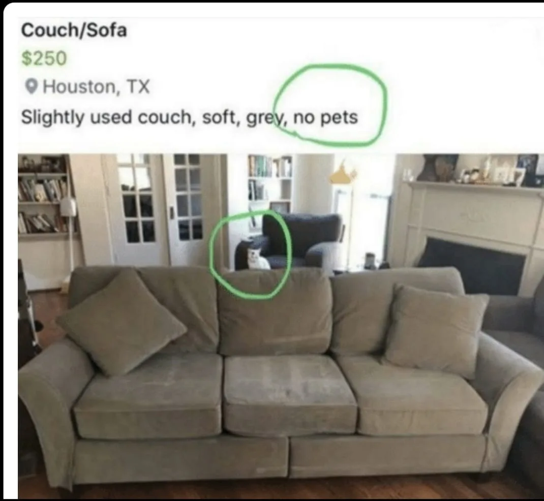 Craigslist meme