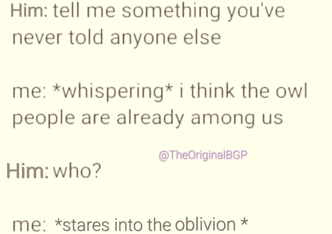 owl meme
