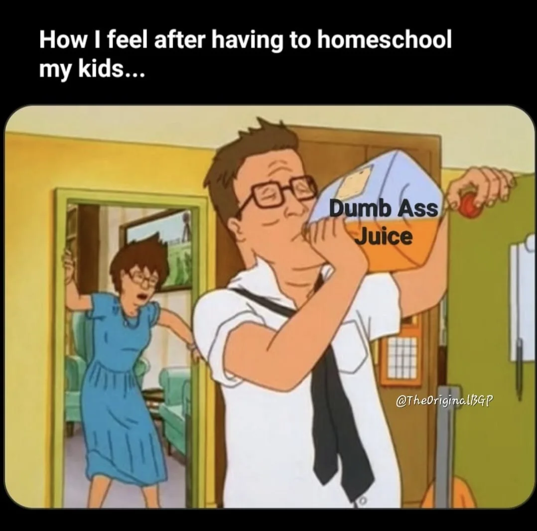 Homeschooling meme
