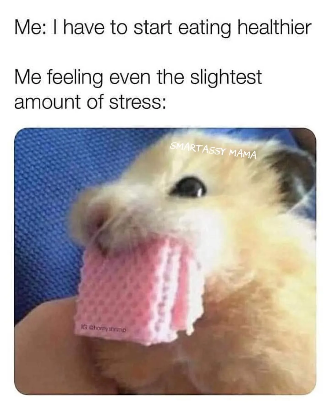 stress eating meme