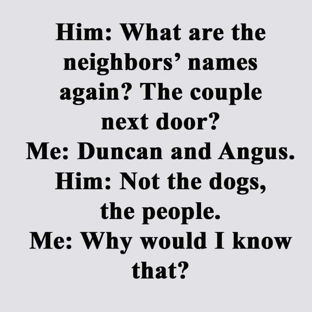 dog lover meme