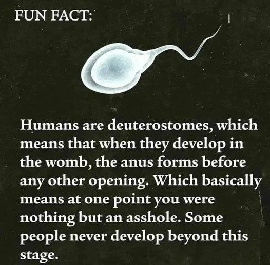 embryo meme