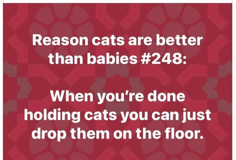 baby meme