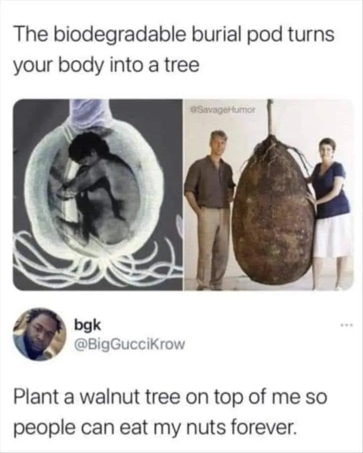burial meme